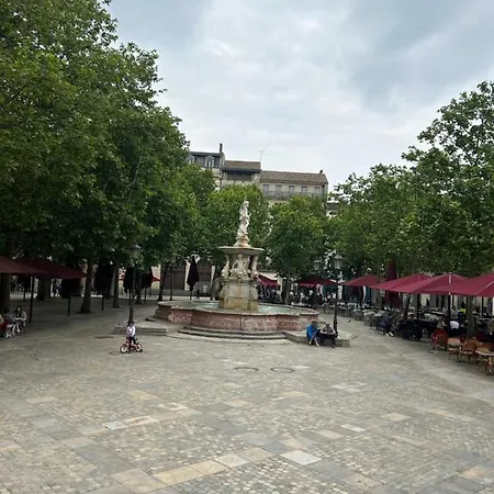 Daire Aigle D Or Carcassonne