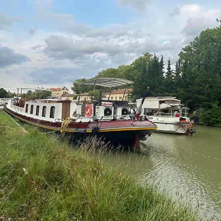 Aigle D Or Daire Carcassonne