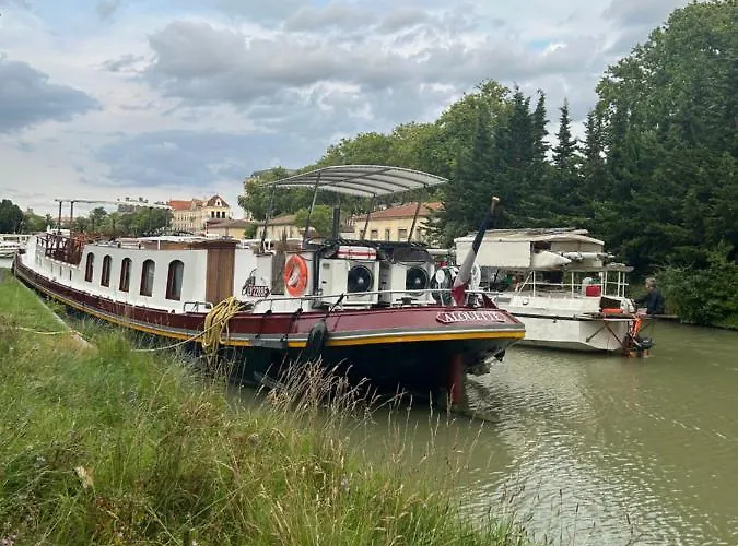 Aigle D Or アパート カルカソンヌ